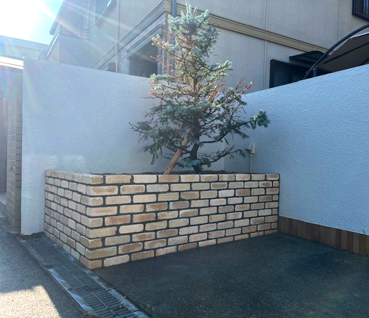 西宮市K様邸・もみの木の移植